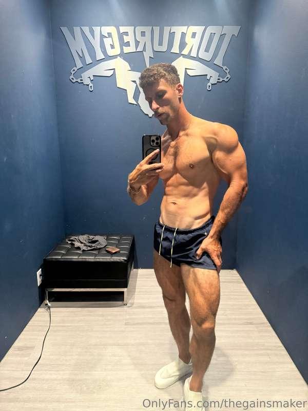 thegainsmaker image #27