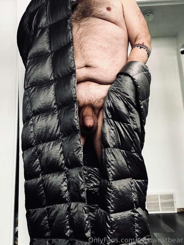 m1dwestbear image #6
