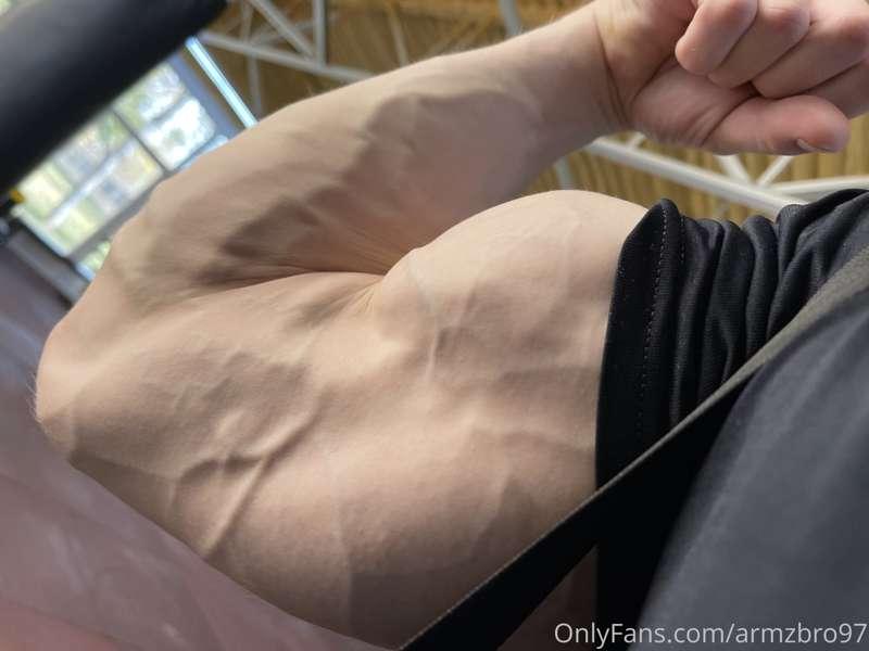 armzbro97 image #0