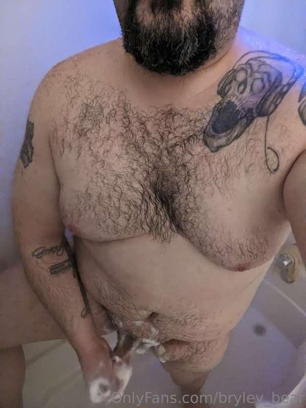 bryley_bear image #0