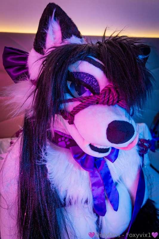 Shibari muzzles are so pretty!