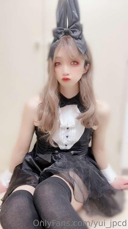 🐰🐰🐰