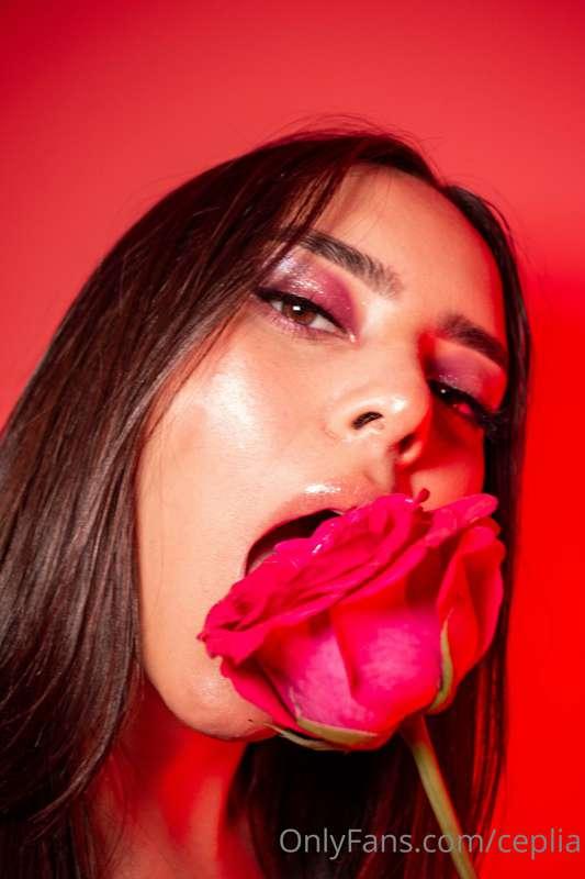 Con la delicadeza de una rosa 🌹