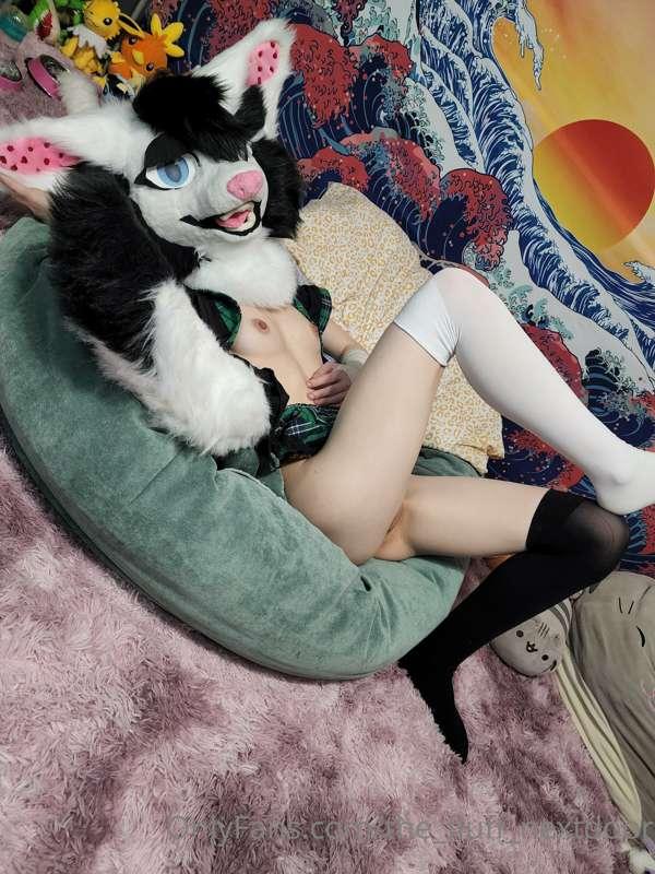 the_fluff_nextdoor image #13