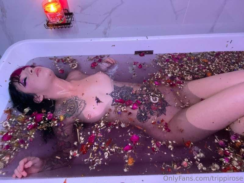 trippirose image #4