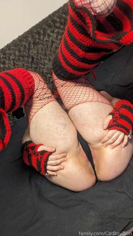 catboyzion image #26