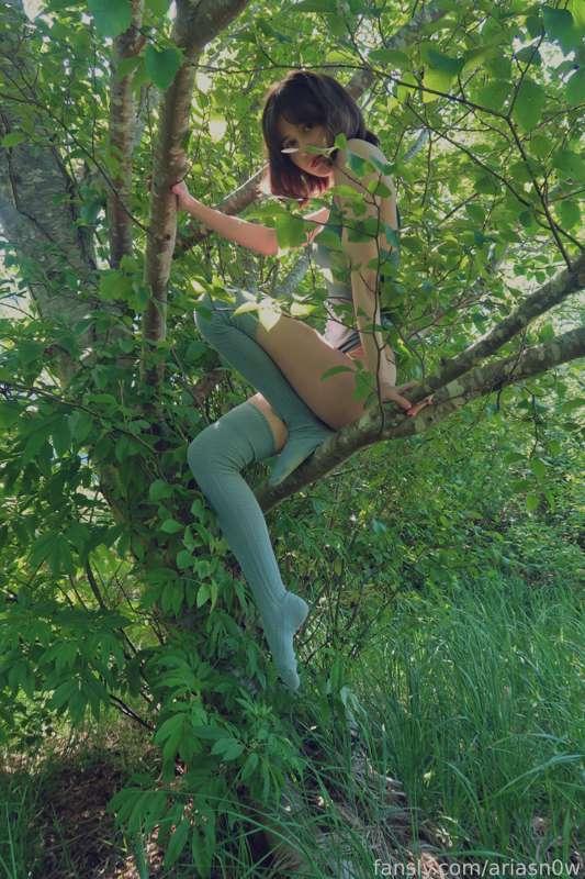ariar0e image #1