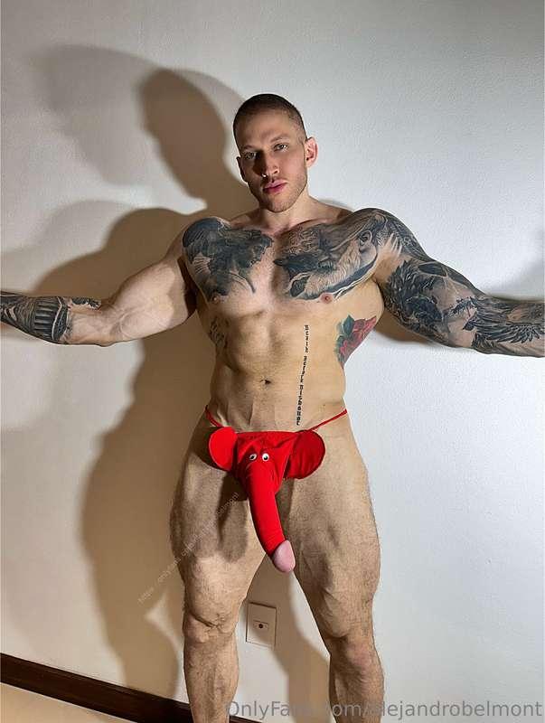 alejandrobelmont image #1