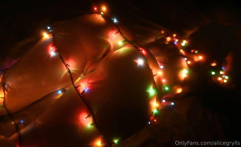 alicegrylls image #0