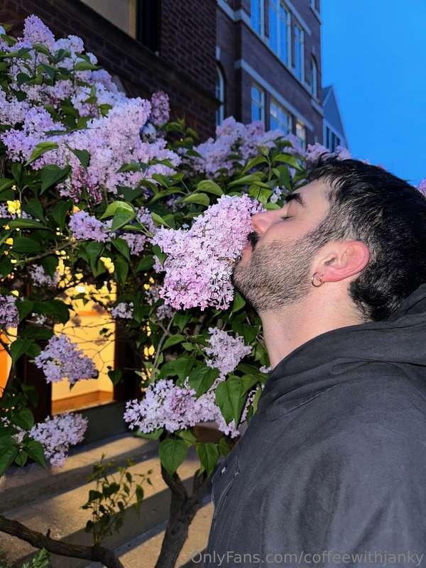 this is your reminder to stop & smell the flowers!
