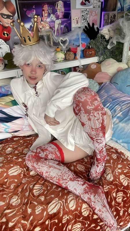 indigowhite image #214