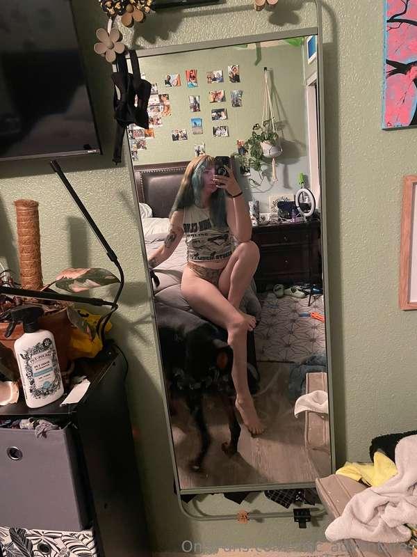 msc_adventures image #2