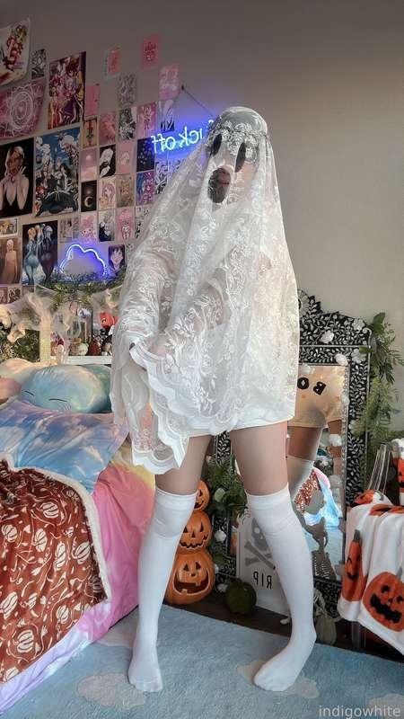 indigowhite image #202