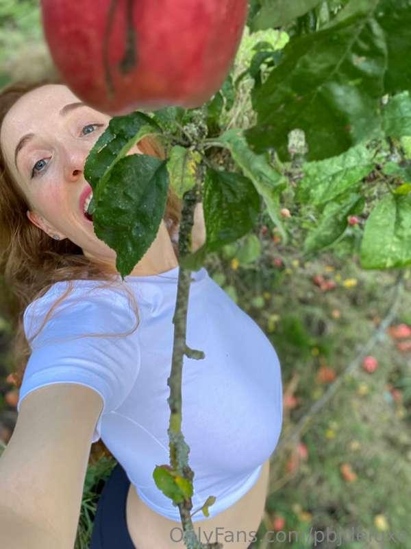🌳🍎 We almost missed this year’s glorious season, but if you ..