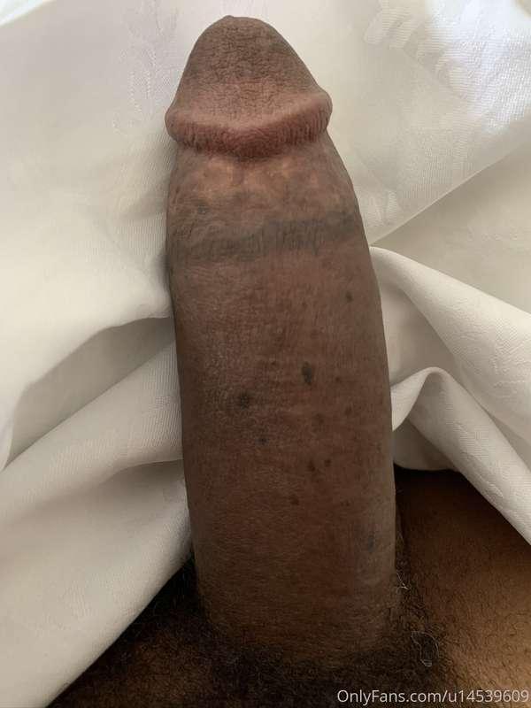 Woke up like this - feeling frisky.. who wants to jump on?