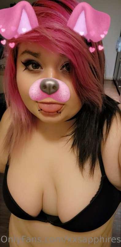 hi im puppy 
♡
Sorry yall I tried to post on Tuesday but it ..