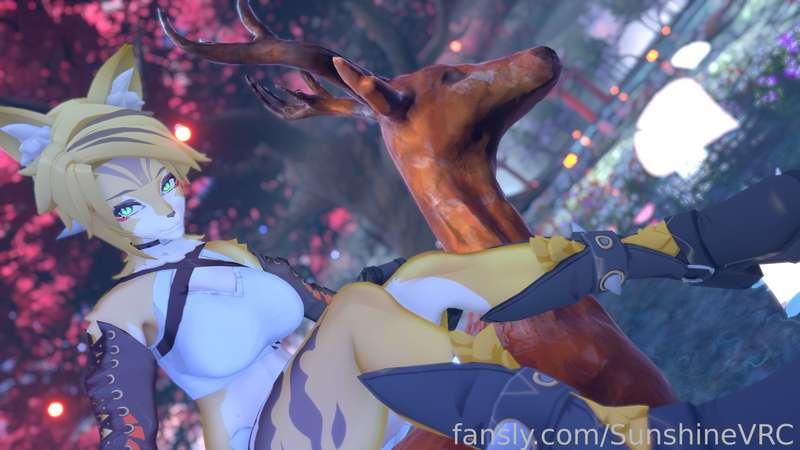 sunshinevrc image #9