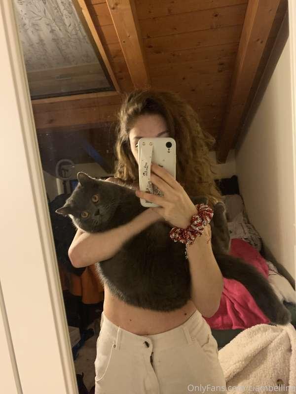 ciambellina image #0