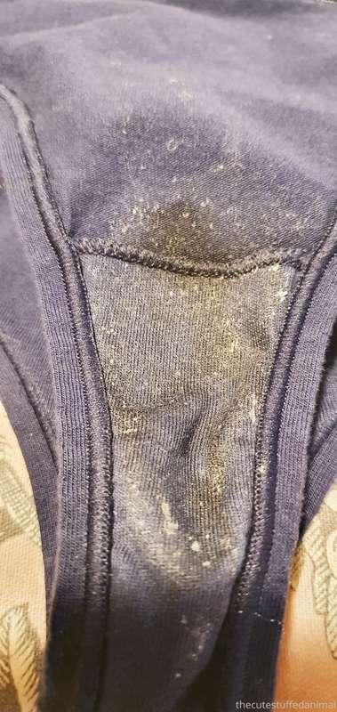 thecutestuffedanimal image #14