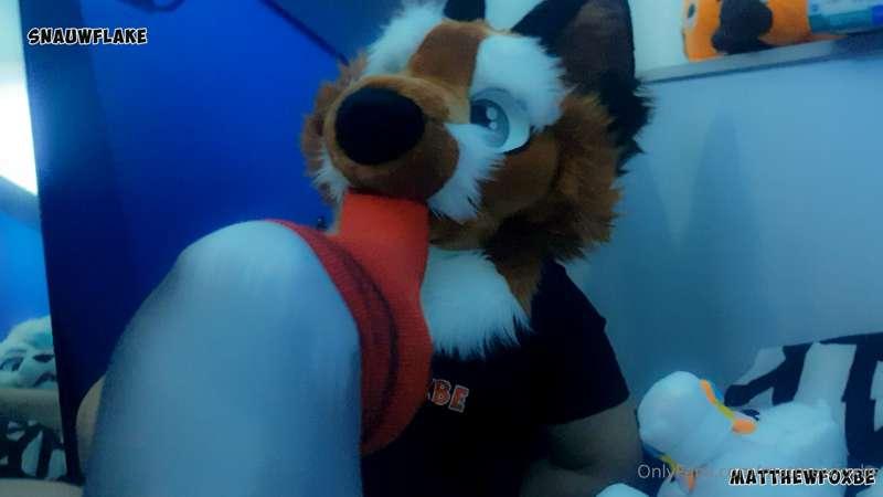 matthewfoxbe image #8
