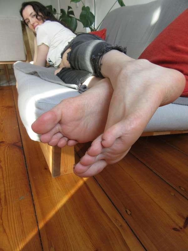 neolasoles image #1