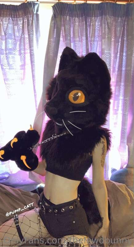 ad_rutt image #13