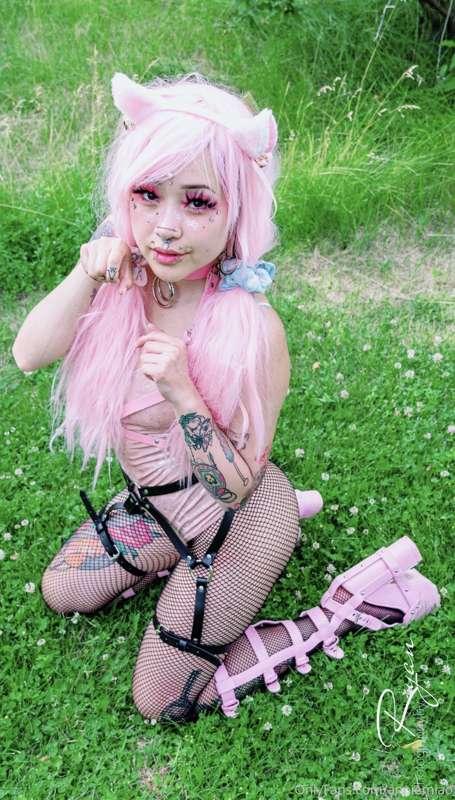 Would you put a leash on this bad kitty 😈💕