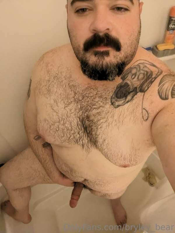 bryley_bear image #0