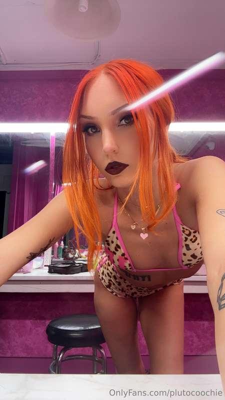 plutocoochie image #5