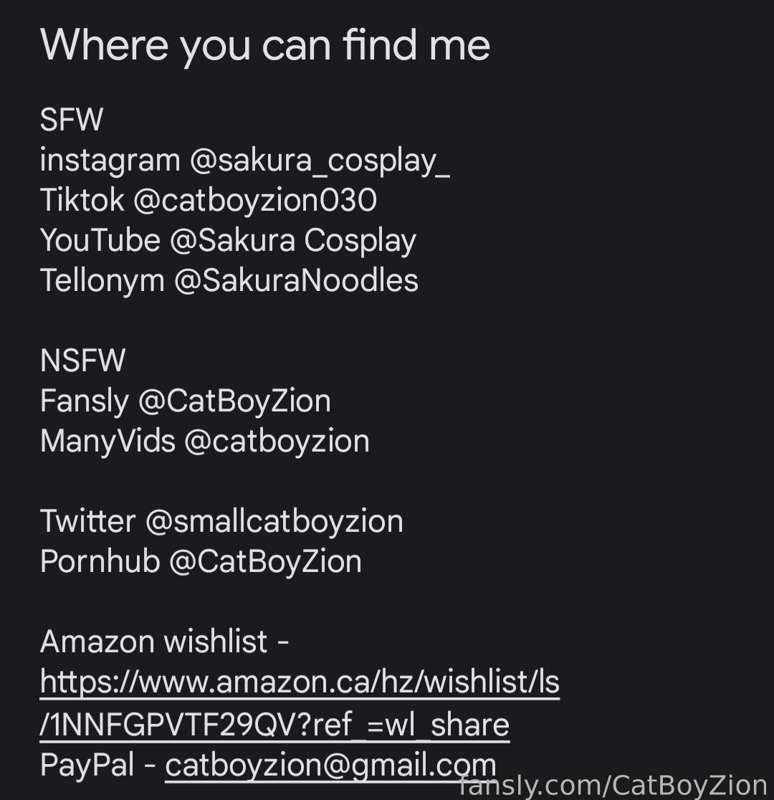 catboyzion image #2