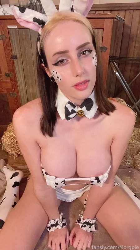 morgpie image #1