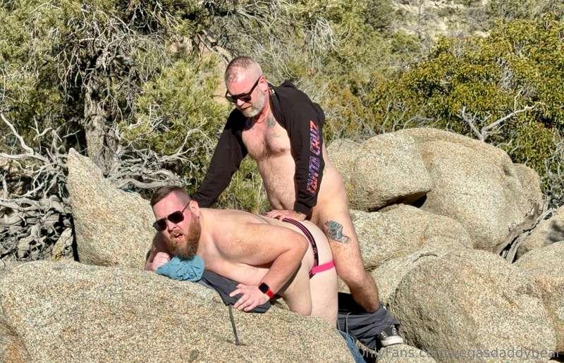 vegasdaddybear image #2