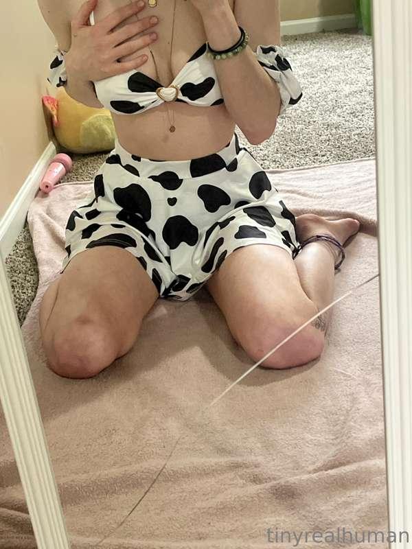 Moo! 🐮