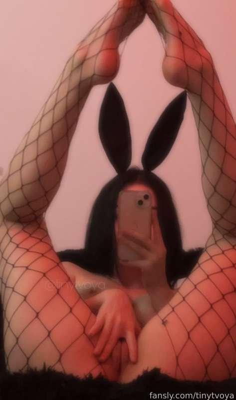 bunnygirl