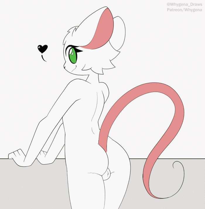 Little mouse