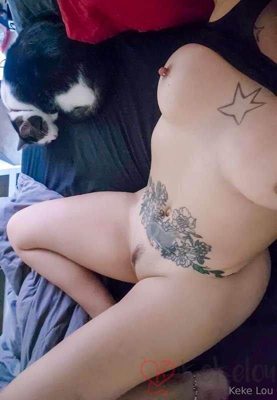 Wanna pet my kitty?