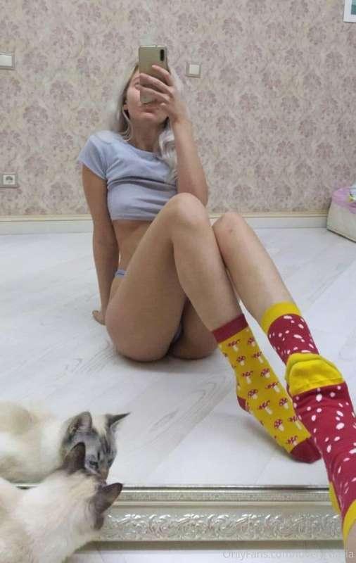 do you like my socks?)
or maybe my little pussycat😋