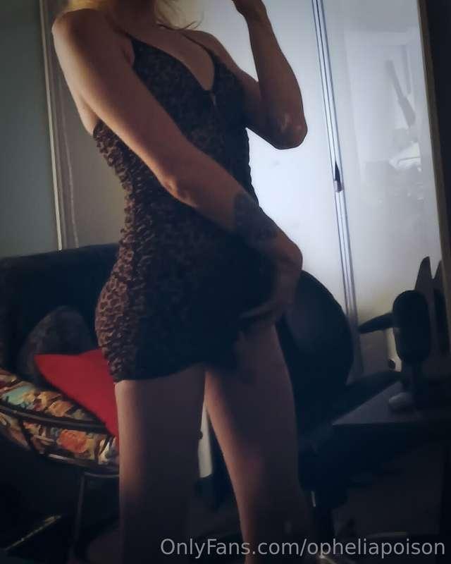 trannyfluid main image