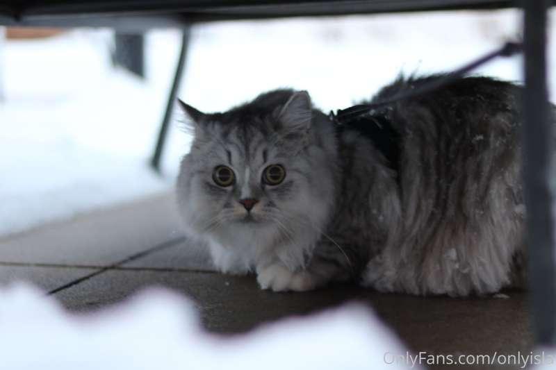 onlyisla image #9