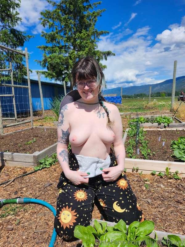 I planted 21 pumpkin plants the other day, so hopefully I ge..