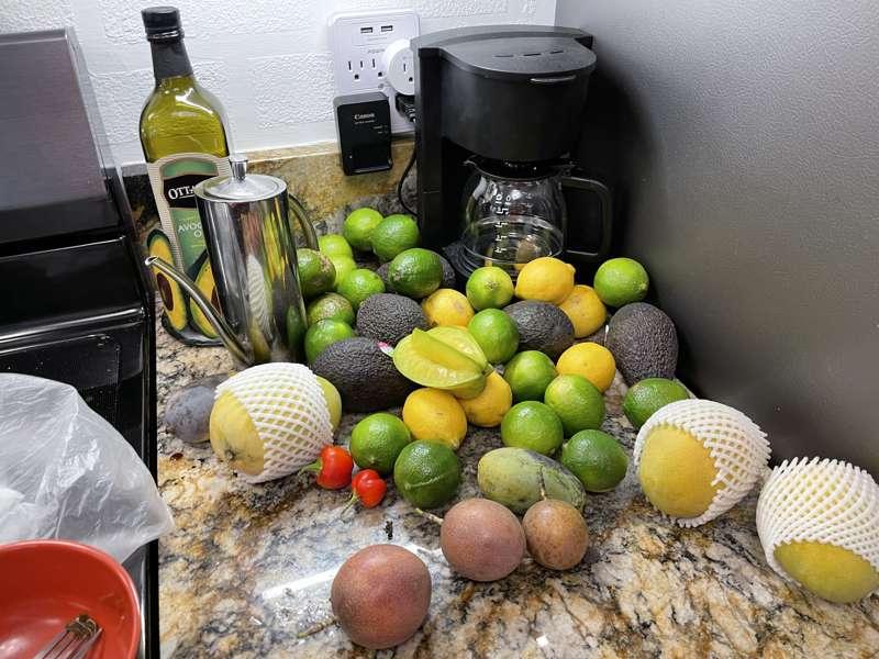 nikocadoavocado main image