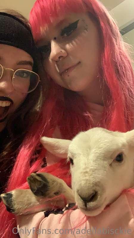 me and @fallenangelll444 with cute little Rosie the lamb for..
