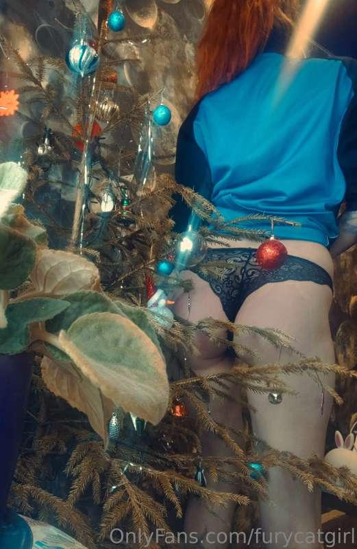 🎁🎀🪩