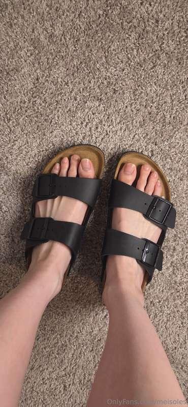 My feet were made for Birkenstocks! Customs are open with th..
