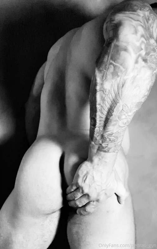 pedrao_gyn image #0
