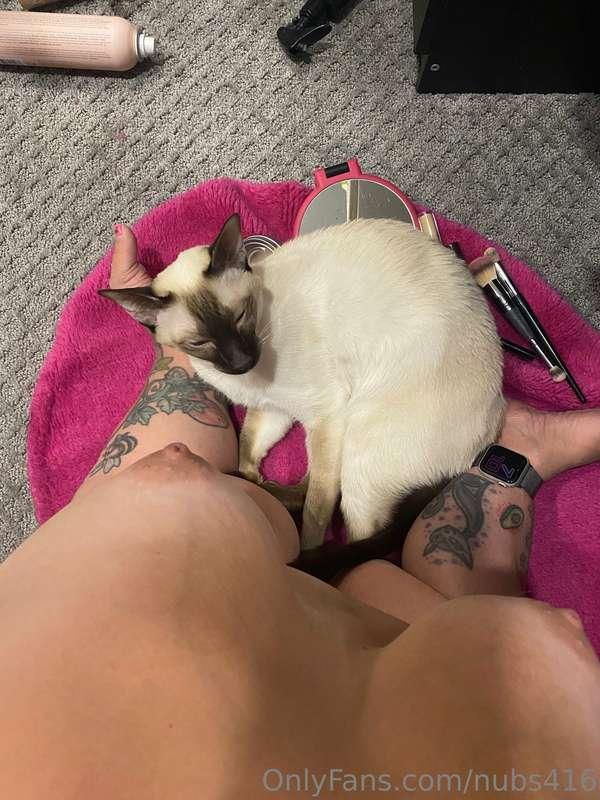 Happy Caturday, from Miso & Me!! 😽