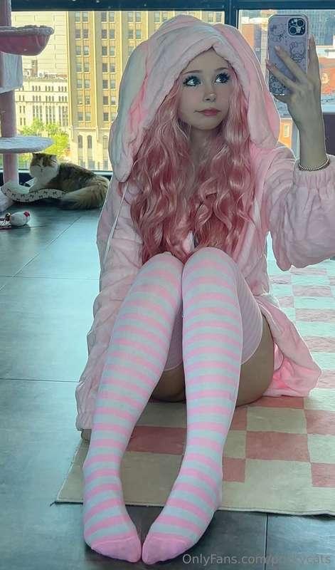 pockycats image #1