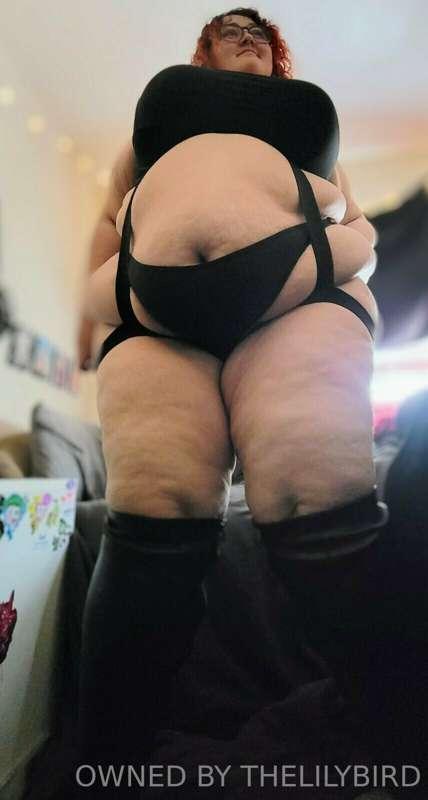 Curves like Divinity 💫