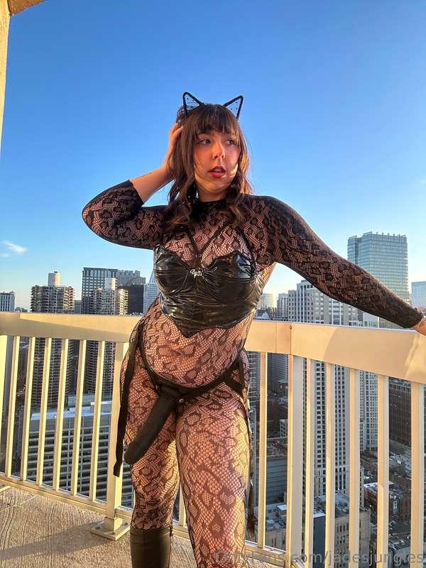 This kitty has claws 😈