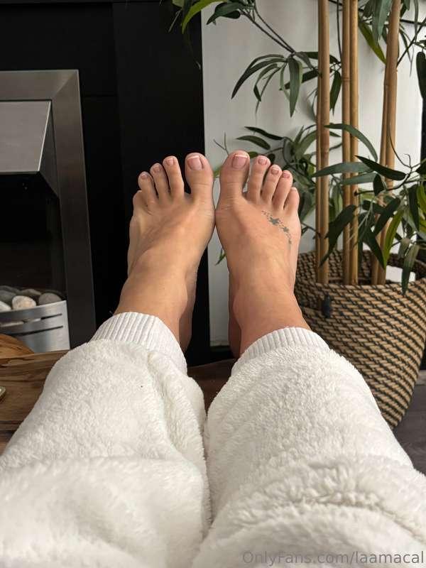Fresh pigs 🐷 